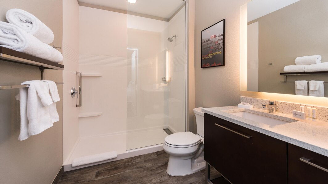 tps-bathroom-0005-hor-wide.jpg